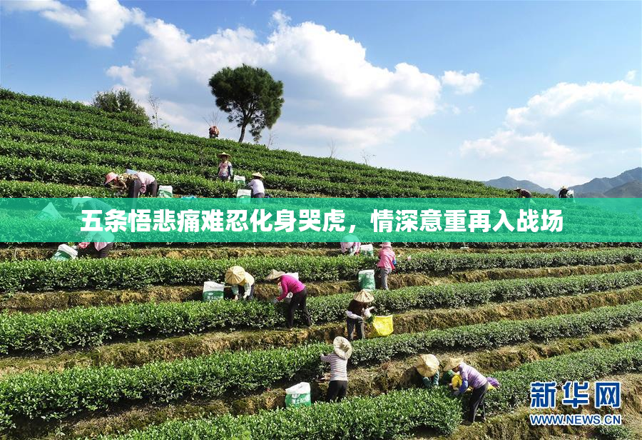 五条悟悲痛难忍化身哭虎，情深意重再入战场