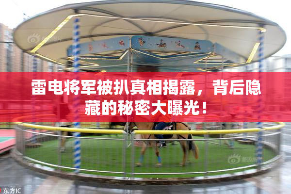 雷电将军被扒真相揭露，背后隐藏的秘密大曝光！
