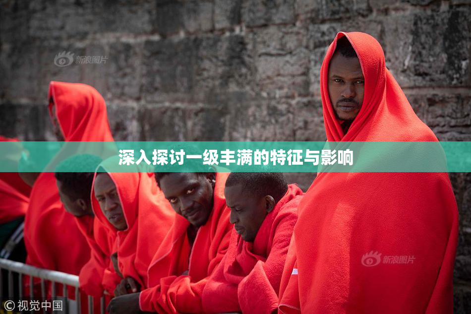 深入探讨一级丰满的特征与影响