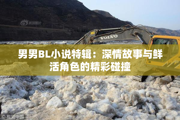 男男BL小说特辑：深情故事与鲜活角色的精彩碰撞