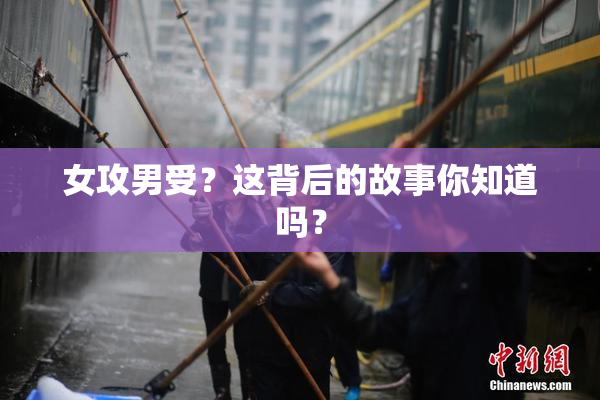 女攻男受？这背后的故事你知道吗？