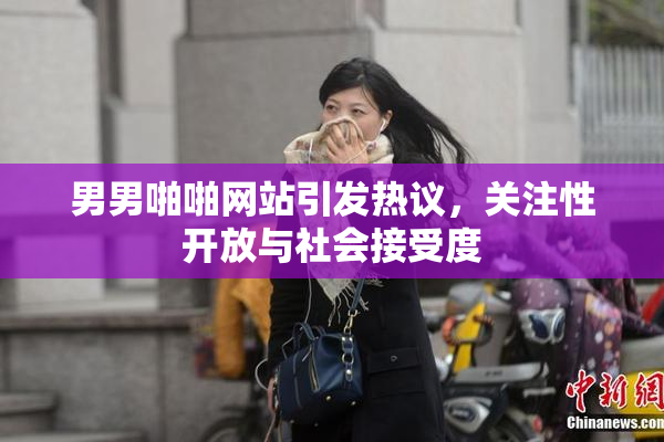男男啪啪网站引发热议，关注性开放与社会接受度