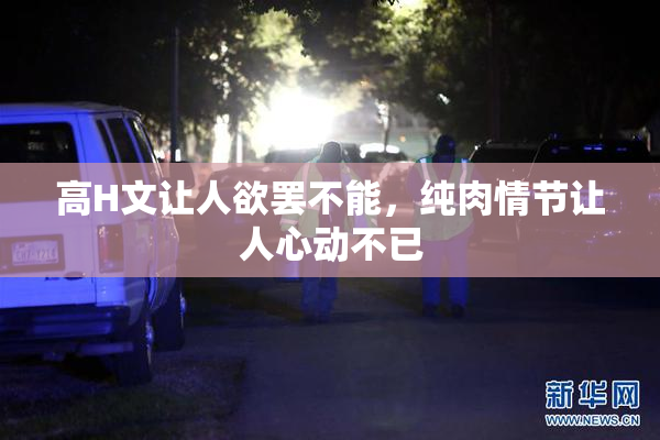 高H文让人欲罢不能，纯肉情节让人心动不已