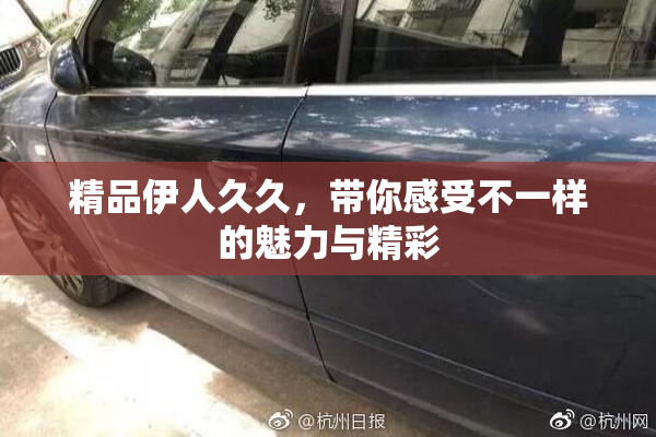 精品伊人久久，带你感受不一样的魅力与精彩