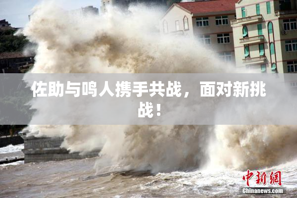 佐助与鸣人携手共战，面对新挑战！