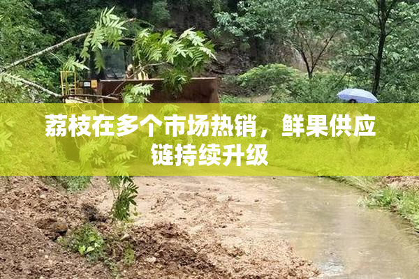 荔枝在多个市场热销，鲜果供应链持续升级