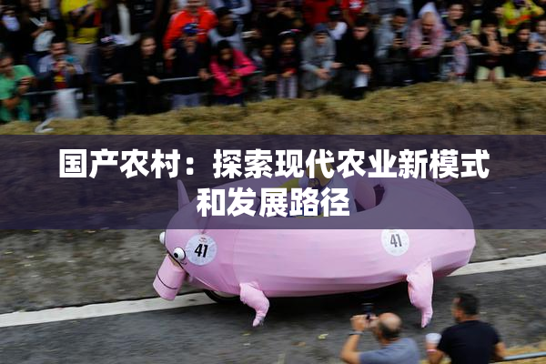 国产农村：探索现代农业新模式和发展路径