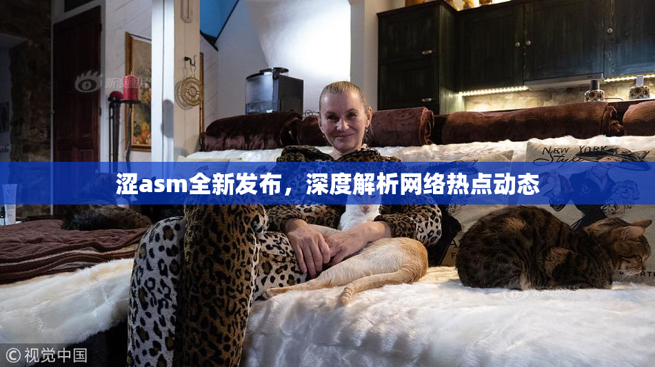 涩asm全新发布，深度解析网络热点动态