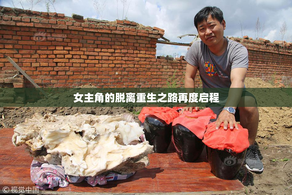 女主角的脱离重生之路再度启程