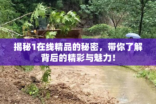 揭秘1在线精品的秘密，带你了解背后的精彩与魅力！