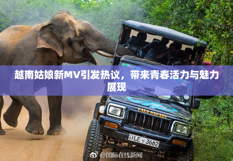 越南姑娘新MV引发热议，带来青春活力与魅力展现