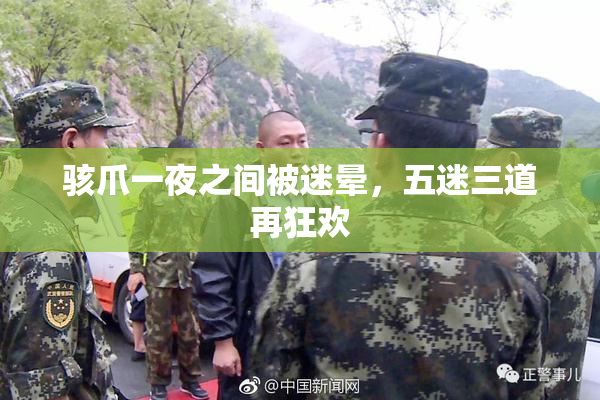 骇爪一夜之间被迷晕，五迷三道再狂欢