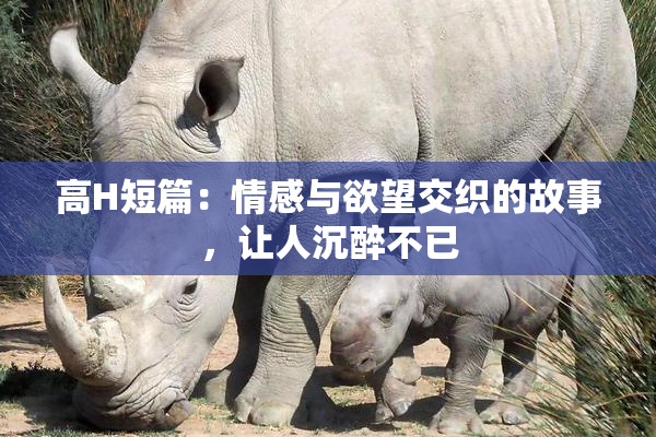 高H短篇：情感与欲望交织的故事，让人沉醉不已