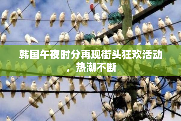 韩国午夜时分再现街头狂欢活动，热潮不断