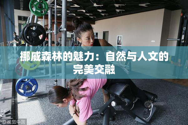 挪威森林的魅力：自然与人文的完美交融