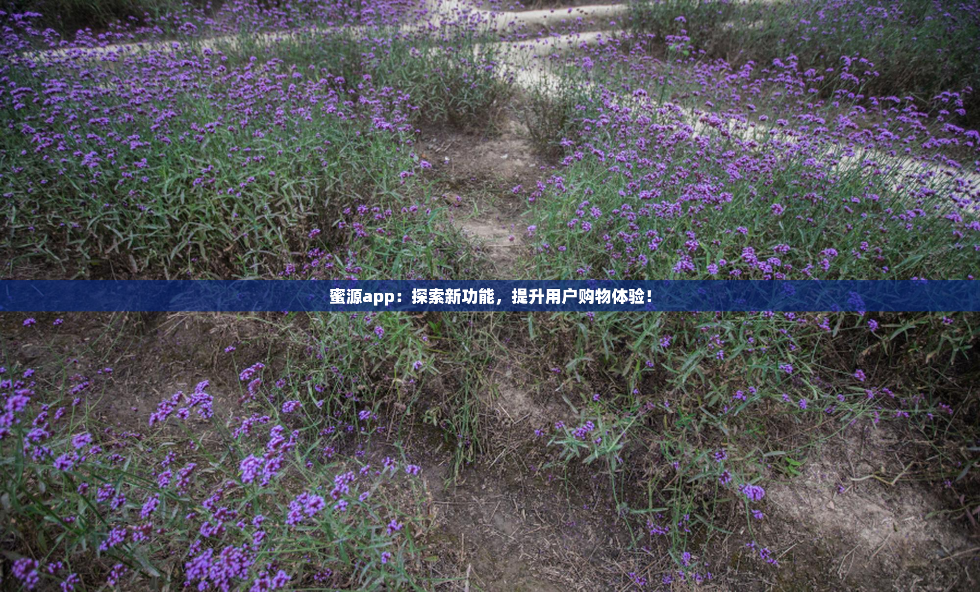 蜜源app：探索新功能，提升用户购物体验！
