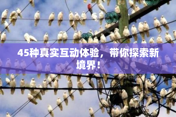 45种真实互动体验，带你探索新境界！