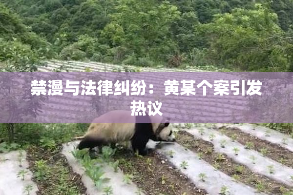 禁漫与法律纠纷：黄某个案引发热议