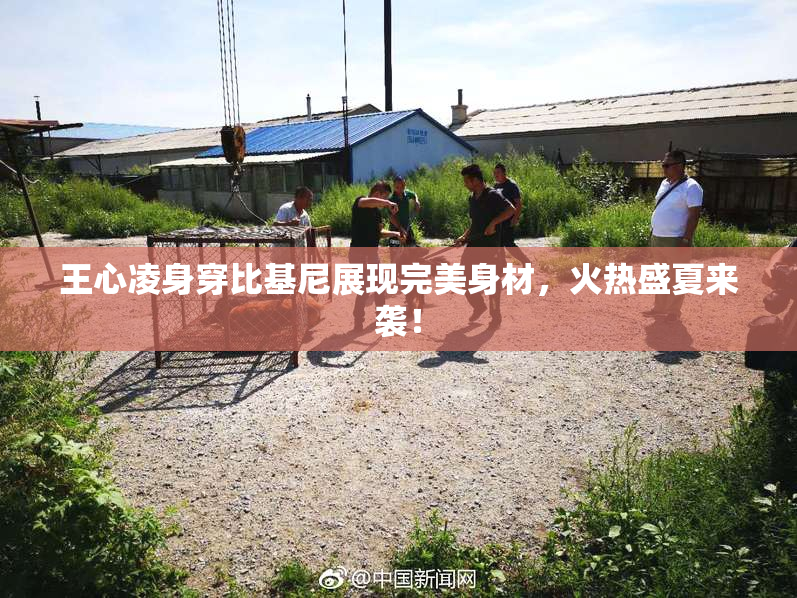 王心凌身穿比基尼展现完美身材，火热盛夏来袭！