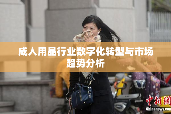 成人用品行业数字化转型与市场趋势分析