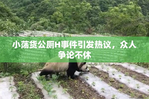 小荡货公厕H事件引发热议，众人争论不休