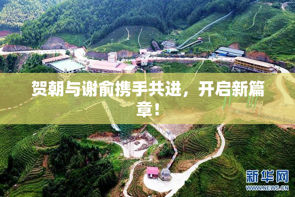 贺朝与谢俞携手共进，开启新篇章！