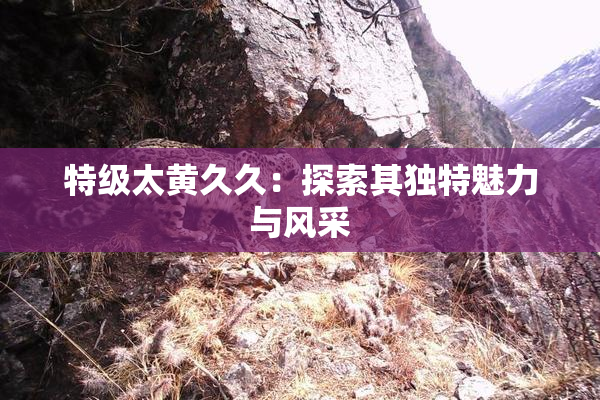 特级太黄久久：探索其独特魅力与风采