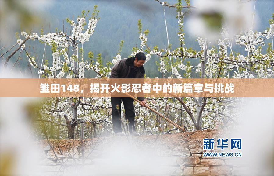 雏田148，揭开火影忍者中的新篇章与挑战