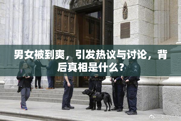男女被到爽，引发热议与讨论，背后真相是什么？
