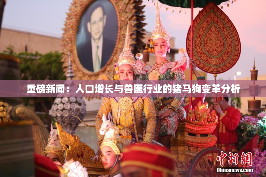 重磅新闻：人口增长与兽医行业的猪马狗变革分析