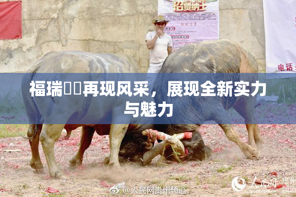 福瑞涊涊再现风采，展现全新实力与魅力