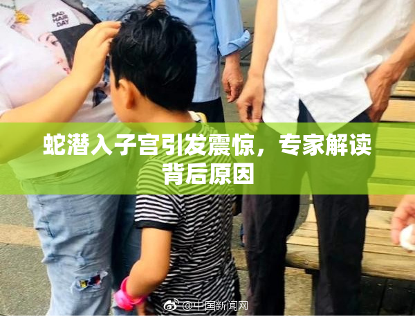 蛇潜入子宫引发震惊，专家解读背后原因