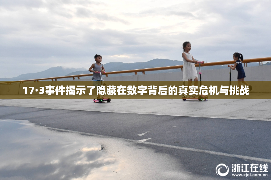 17·3事件揭示了隐藏在数字背后的真实危机与挑战