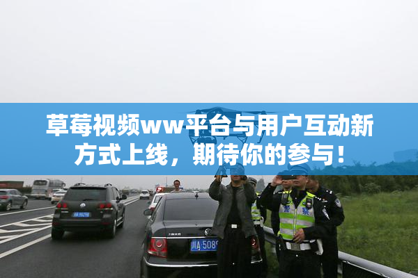草莓视频ww平台与用户互动新方式上线，期待你的参与！
