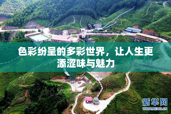 色彩纷呈的多彩世界，让人生更添涩味与魅力