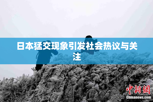 日本猛交现象引发社会热议与关注