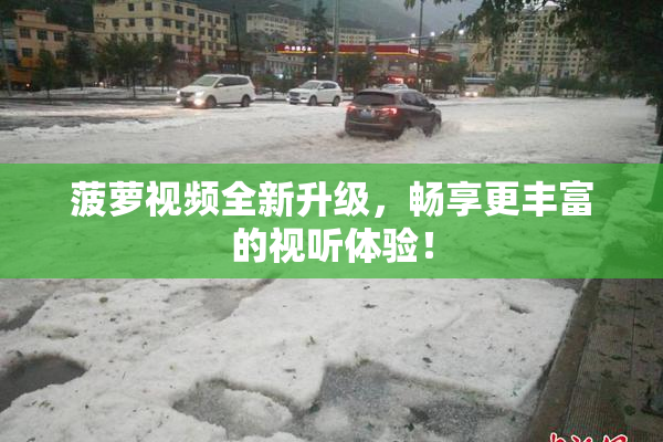 菠萝视频全新升级，畅享更丰富的视听体验！