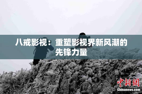 八戒影视：重塑影视界新风潮的先锋力量