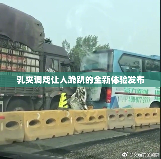 乳夹调戏让人跪趴的全新体验发布