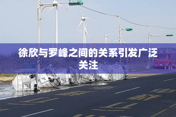 徐欣与罗峰之间的关系引发广泛关注