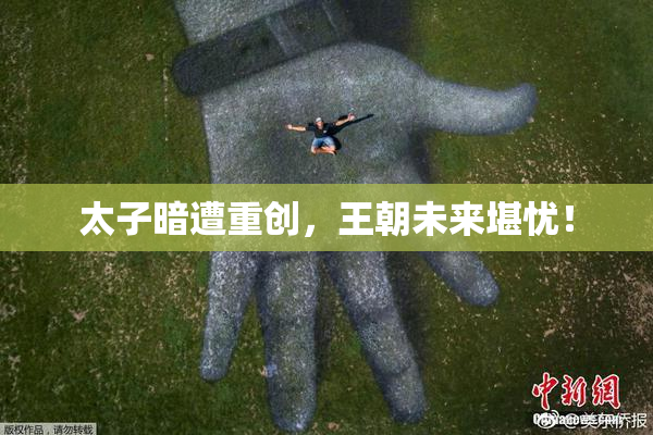 太子暗遭重创，王朝未来堪忧！
