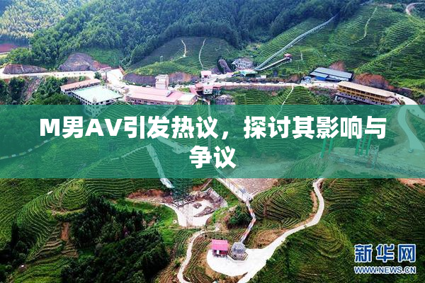 M男AV引发热议，探讨其影响与争议