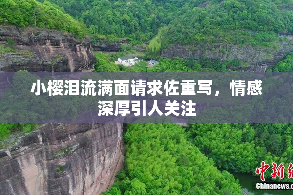 小樱泪流满面请求佐重写，情感深厚引人关注