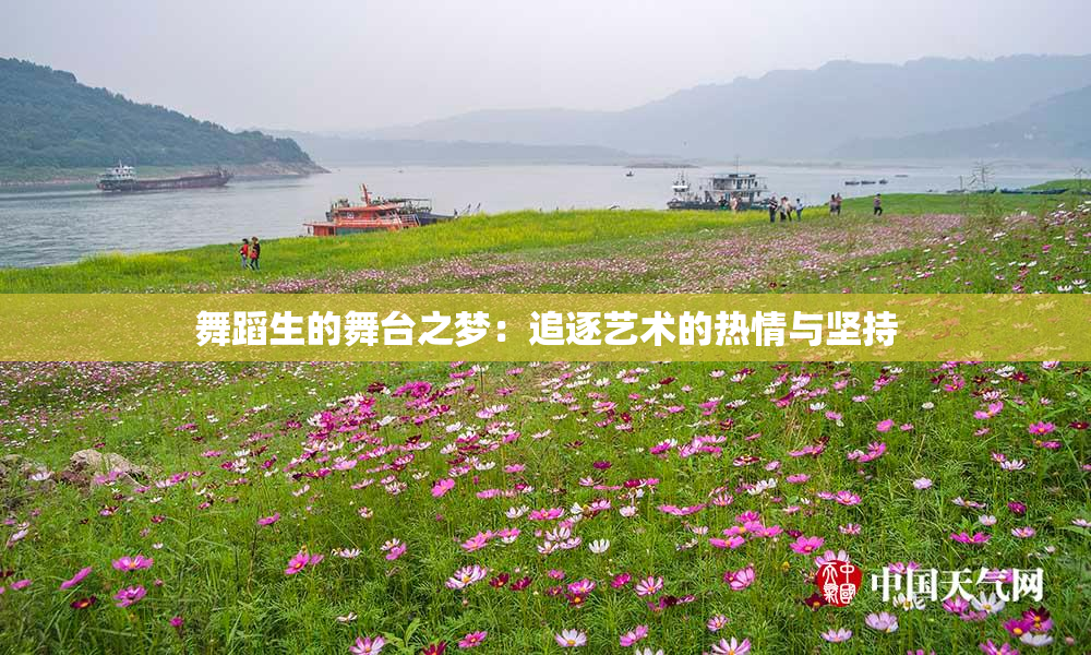 舞蹈生的舞台之梦：追逐艺术的热情与坚持