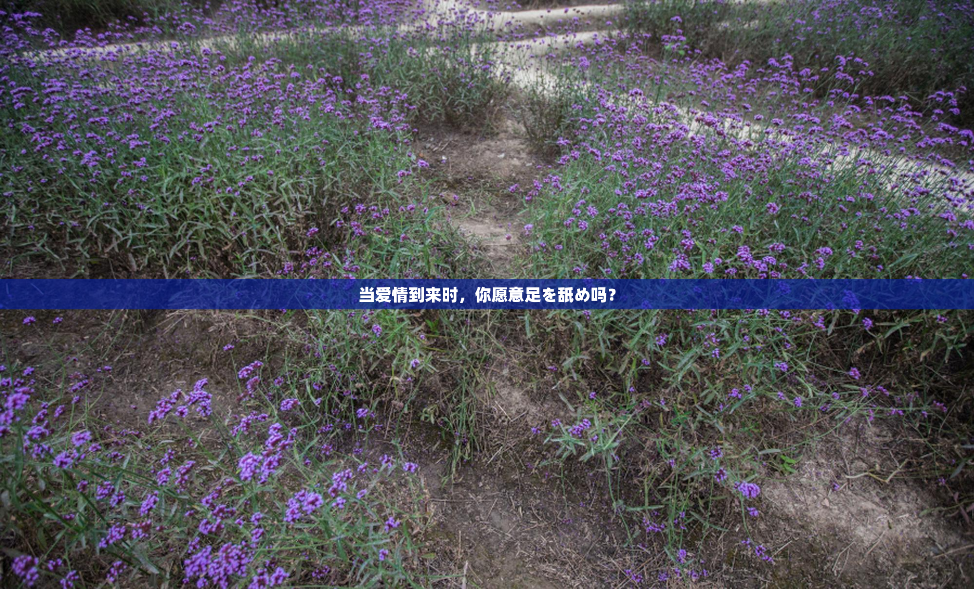 当爱情到来时，你愿意足を舐め吗？