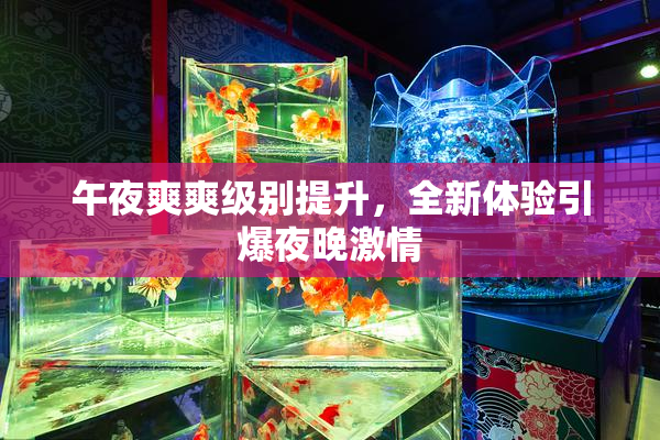 午夜爽爽级别提升，全新体验引爆夜晚激情