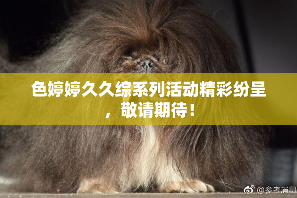 色婷婷久久综系列活动精彩纷呈，敬请期待！