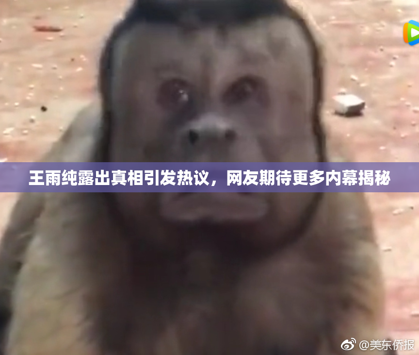 王雨纯露出真相引发热议，网友期待更多内幕揭秘