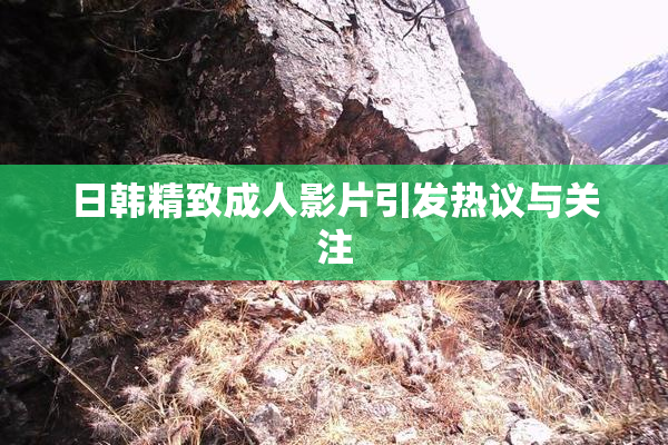 日韩精致成人影片引发热议与关注