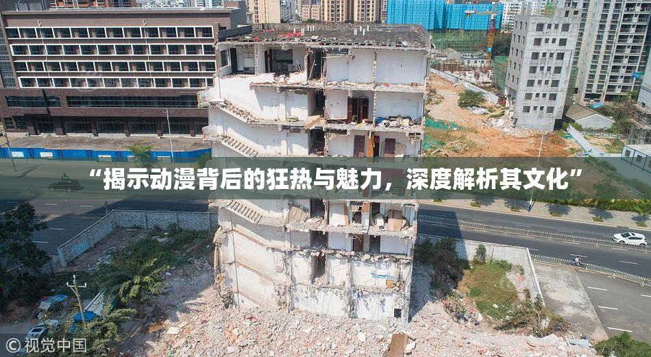 “揭示动漫背后的狂热与魅力，深度解析其文化”